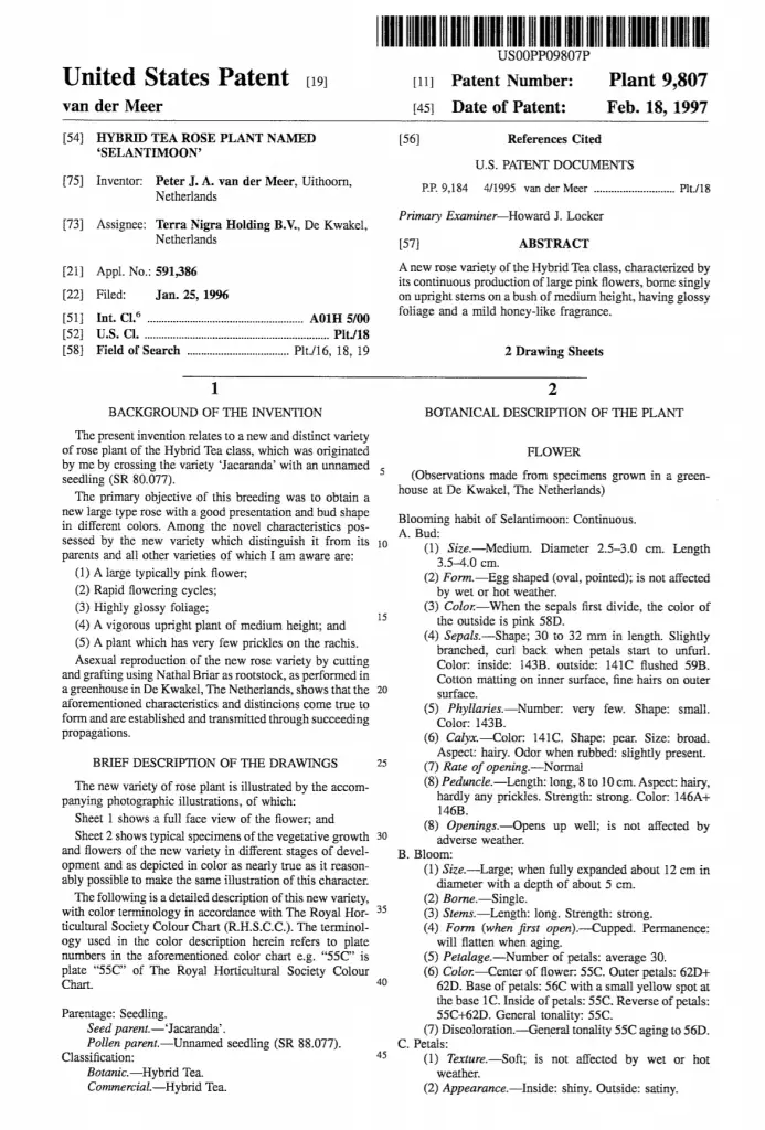 Plant patent examples Idea