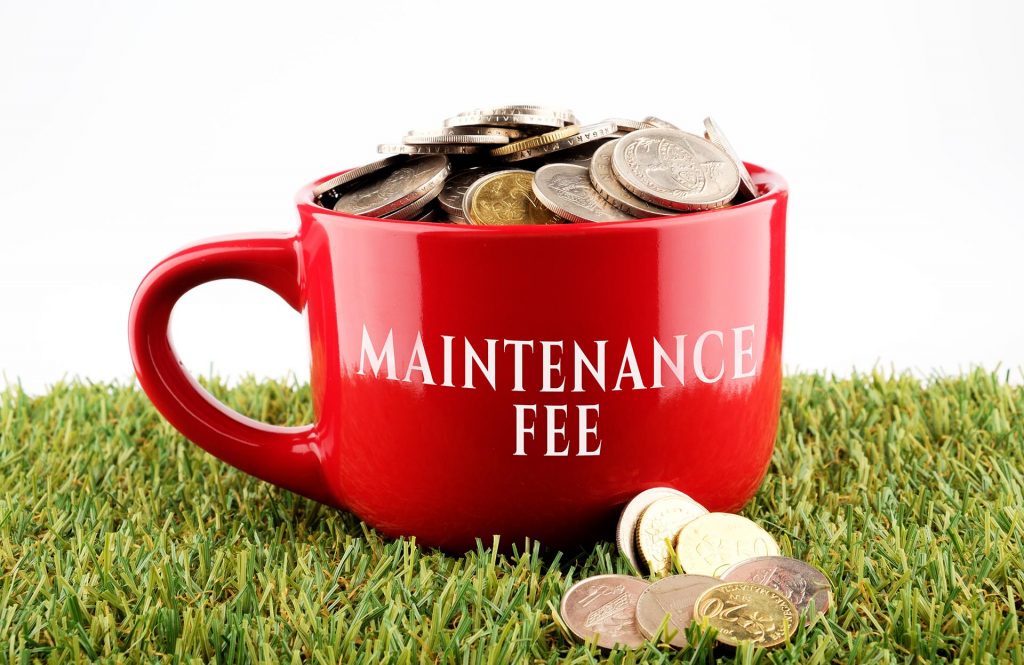What are patent maintenance fees?